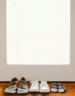 pexels-lisa-fotios-1909015