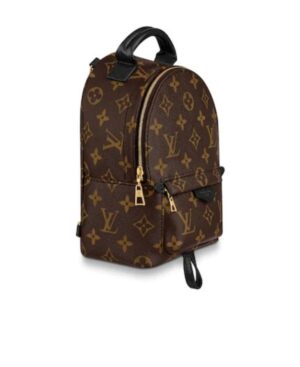 MINI Palm Springs 雙肩包