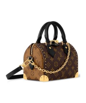 Speedy Trunk 20徽標旅行包