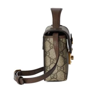 OPHIDIA 雙G迷你包