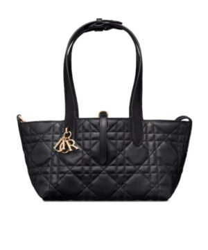 小號 Dior Toujours 手提包