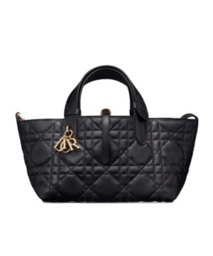 小號 Dior Toujours 手提包