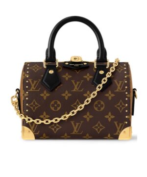 Speedy Trunk 20徽標旅行包