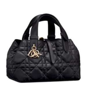 小號 Dior Toujours 手提包